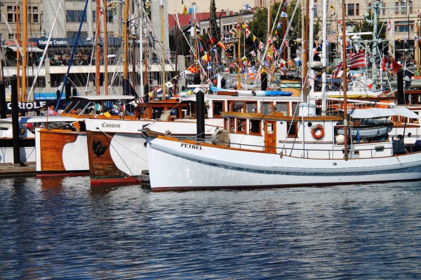 Three West Coast motor cruisers' bows - Victoria Classic Boat Festival