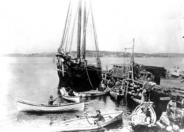 Peapods at Oceanville, Deer Isle, Maine, 1890s
