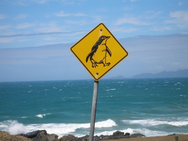 Penguin Crossing Sign, Tasmania
