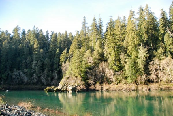 smith river, jedidiah smith redwoods state park