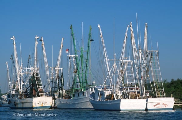 Shrimp fleet at Holden Beach, NC.