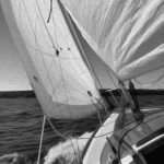Mark Shaw